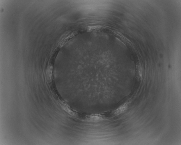 X0000077320475200611031710