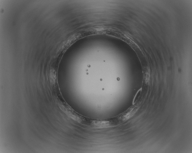 X0000077320476200611031710