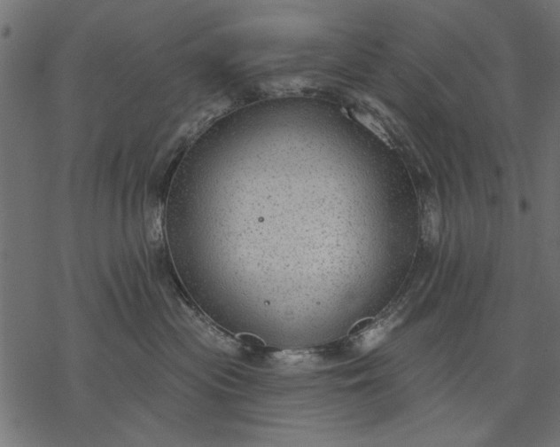 X0000077320477200611031710