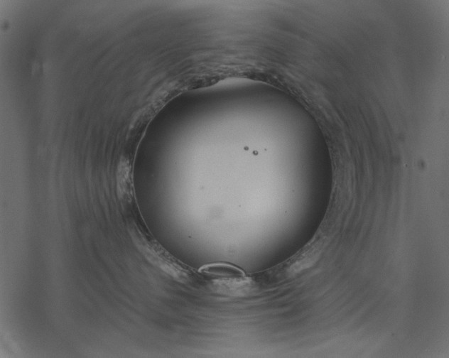 X0000077320480200611031710