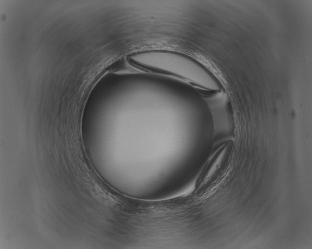 X0000077320481200611031709