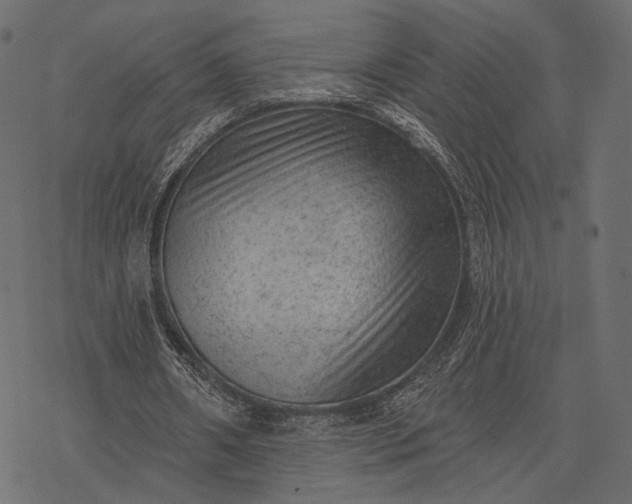 X0000077320482200611031709