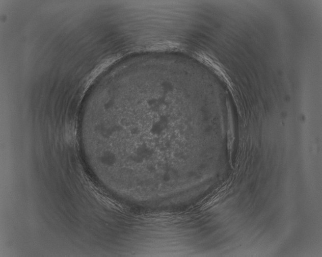 X0000077320483200611031709