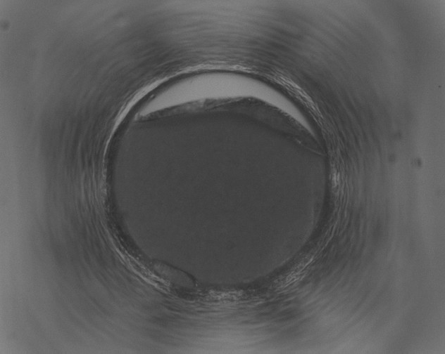 X0000077320484200611031709