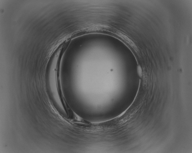 X0000077320485200611031709