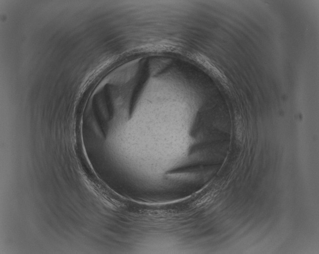 X0000077320486200611031709