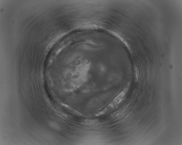 X0000077320487200611031709