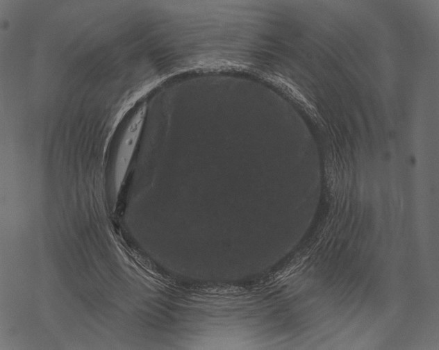 X0000077320488200611031709