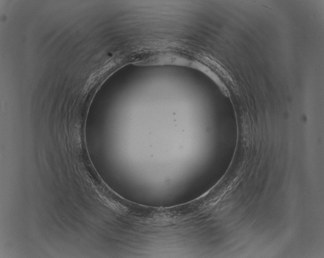 X0000077320489200611031709