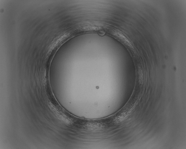 X0000077320490200611031709