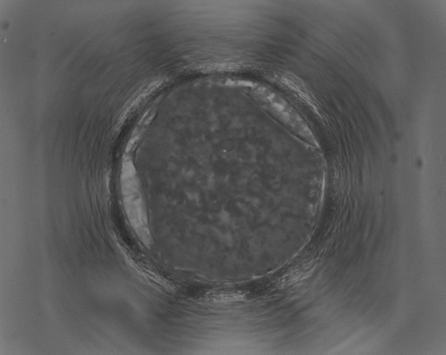 X0000077320491200611031709