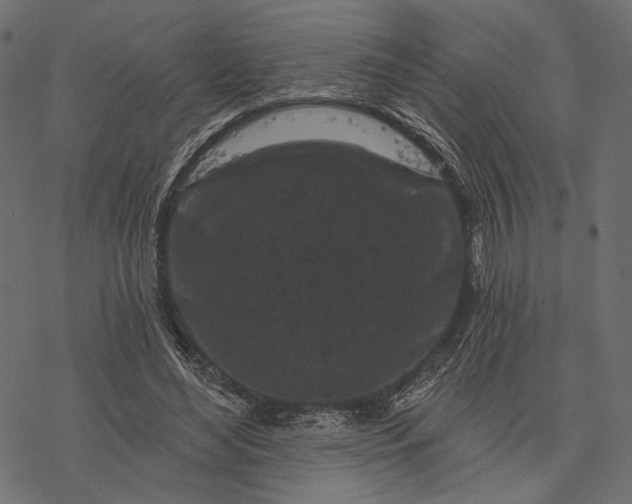 X0000077320492200611031709