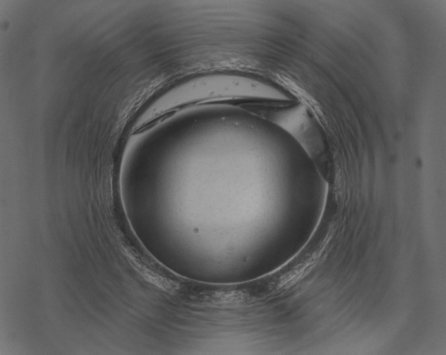 X0000077320493200611031709