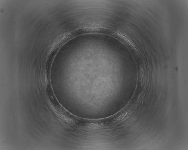 X0000077320494200611031709