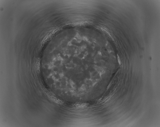 X0000077320495200611031709