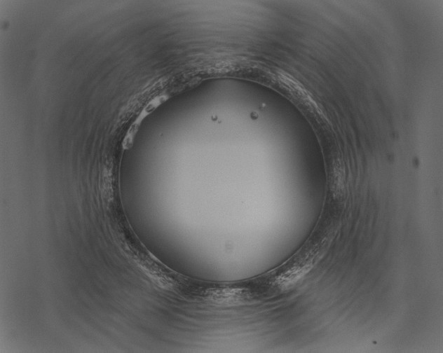 X0000077320497200611031709