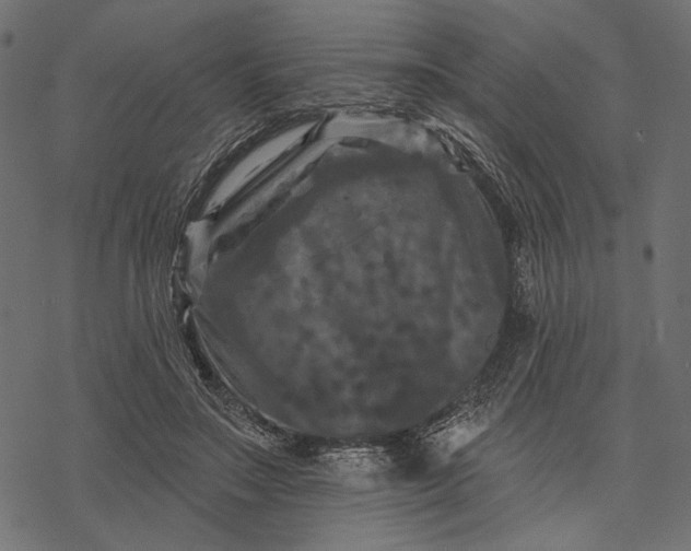 X0000077320499200611031709