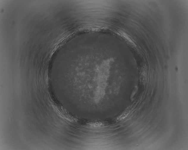 X0000077320500200611031709