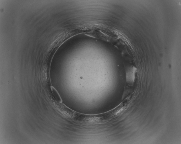 X0000077320501200611031709