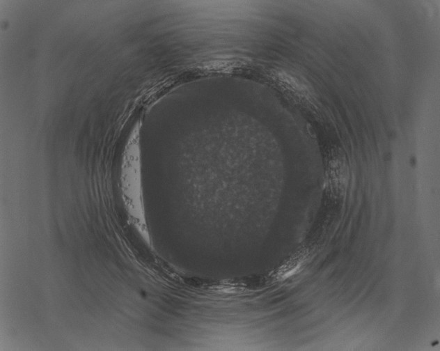 X0000077320504200611031709