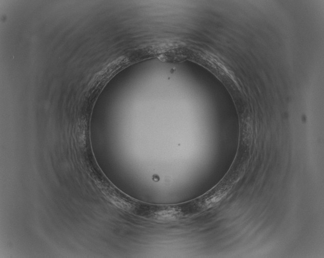 X0000077320505200611031709