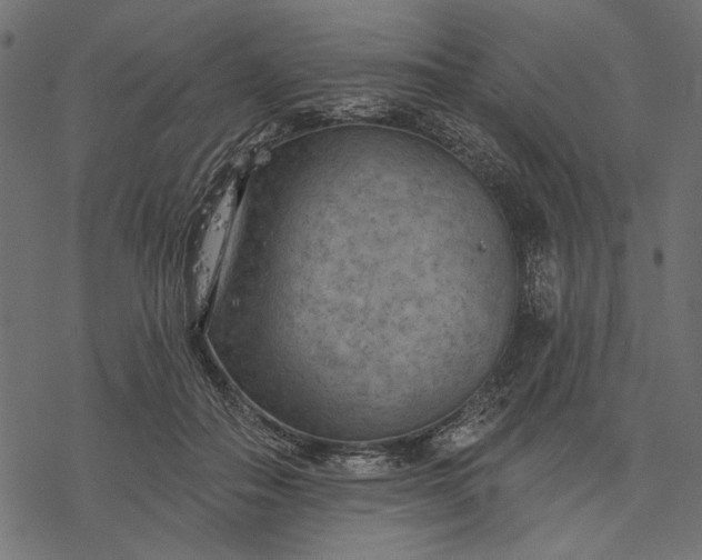 X0000077320506200611031709