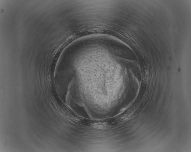 X0000077320508200611031709