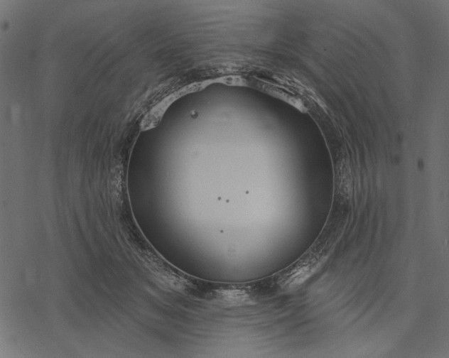 X0000077320509200611031709