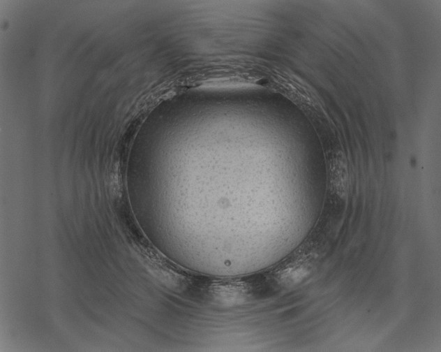 X0000077320510200611031709