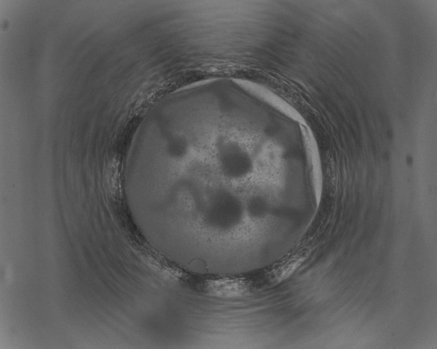 X0000077320511200611031709