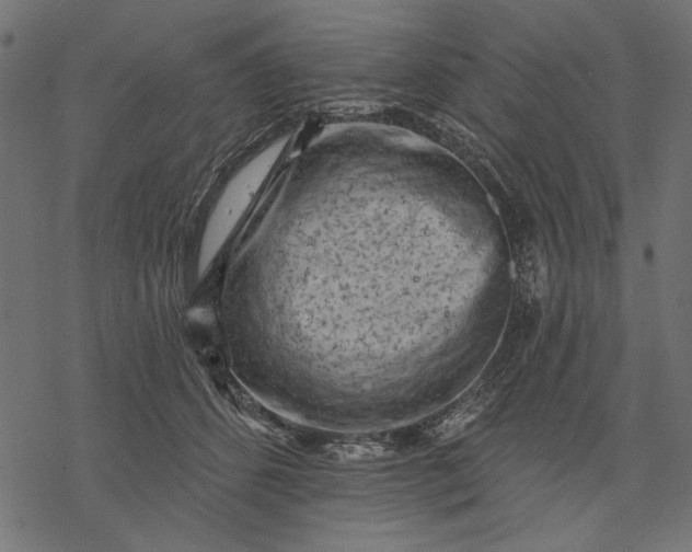 X0000077320512200611031709