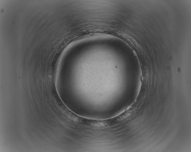 X0000077320513200611031709