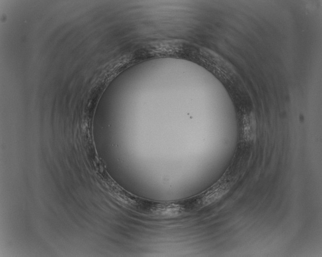 X0000077320514200611031709