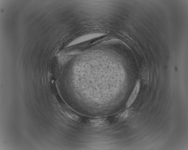 X0000077320516200611031709