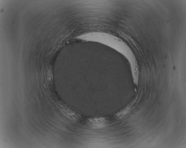 X0000077320517200611031709