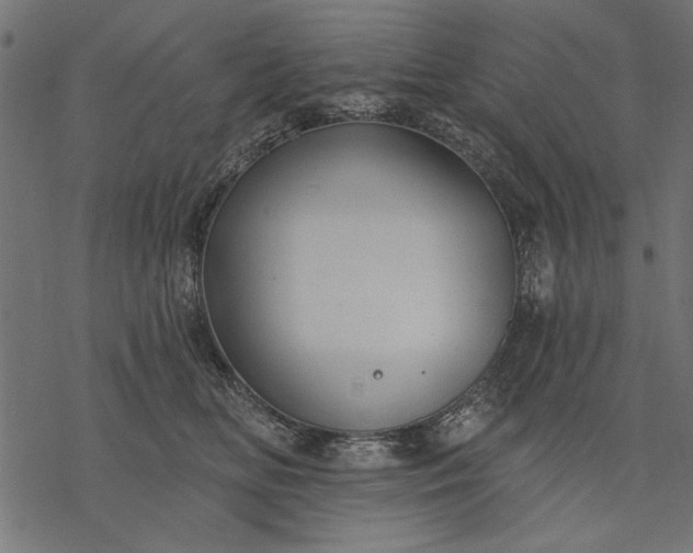 X0000077320518200611031708