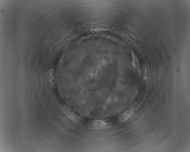 X0000077320519200611031708