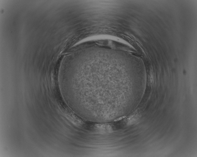 X0000077320520200611031708