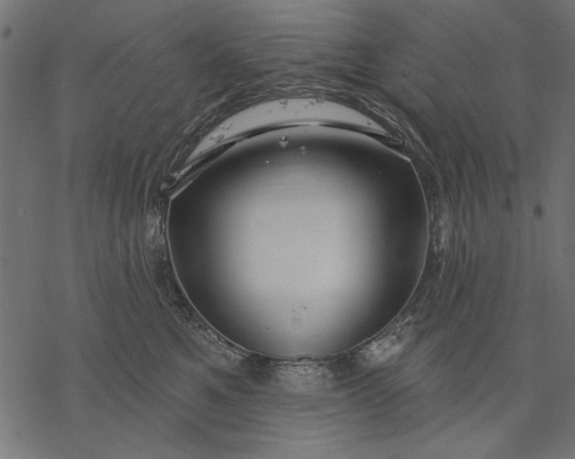 X0000077320521200611031708