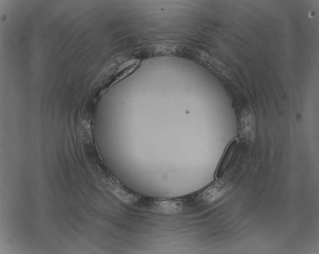 X0000077320522200611031708