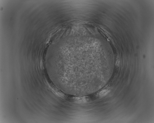 X0000077320524200611031708