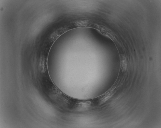 X0000077320525200611031708