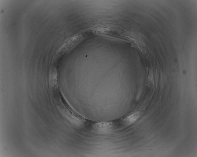 X0000077320526200611031708