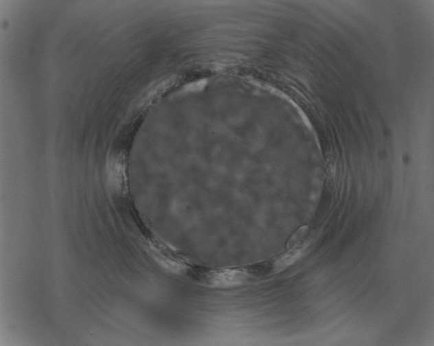 X0000077320527200611031708