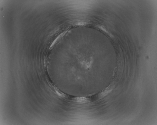 X0000077320528200611031708