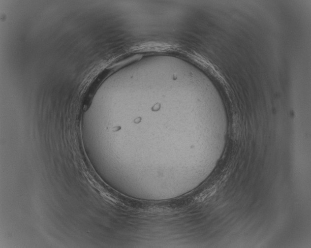 X0000077320529200611031708