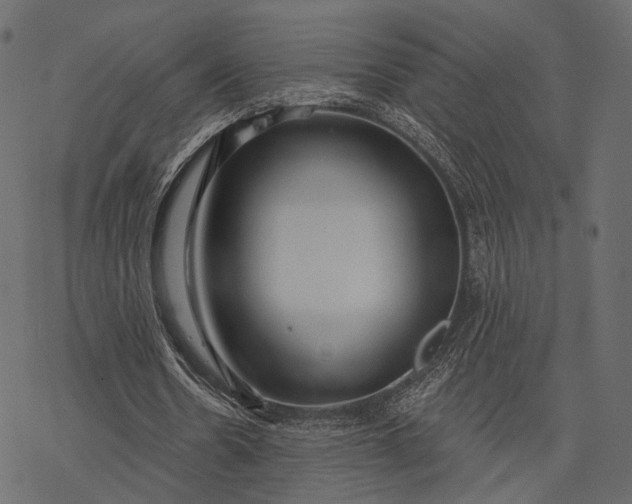 X0000077320530200611031708