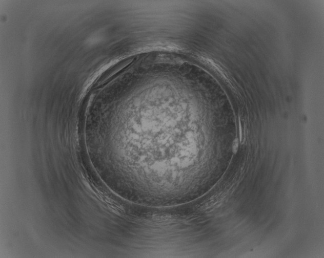 X0000077320531200611031708