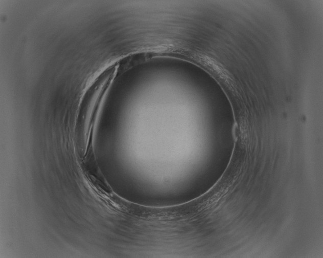 X0000077320532200611031708