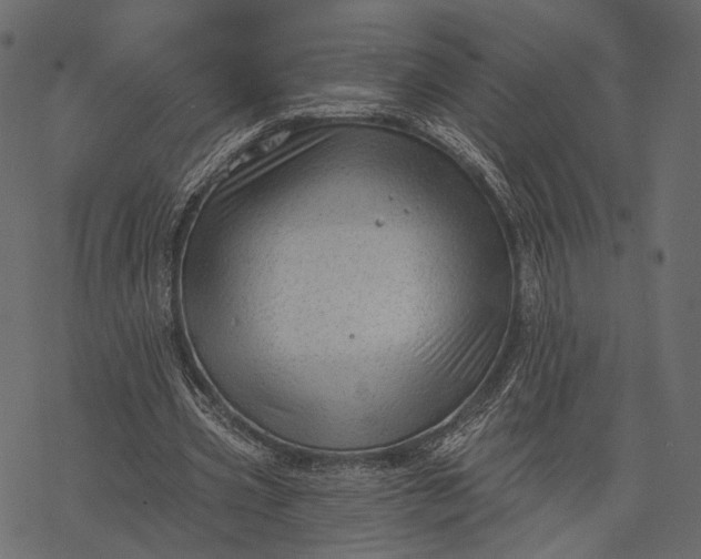 X0000077320533200611031708